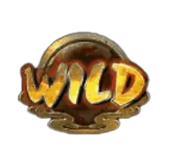 金雲Wild百搭圖示 金雲Wild百搭圖示
